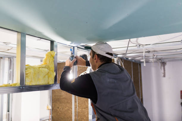 Reliable Springfield, MN Insulation Installation & Removal Solutions